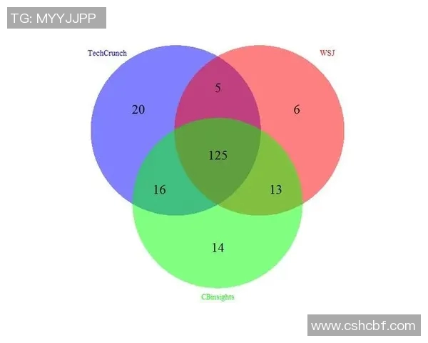 广州足球队与武汉足球队赛后技术分析与战术对比探讨