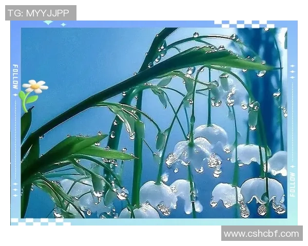 探索足球的多样玩法与技巧解析让你全面了解这项全球运动的魅力