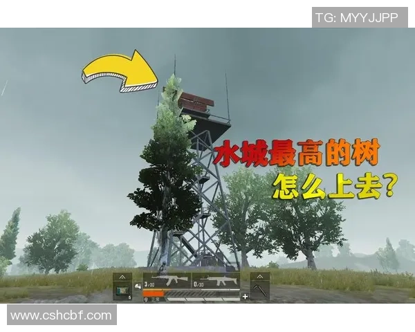 揭秘和平精英成功背后的故事与杨秀英的独特见解